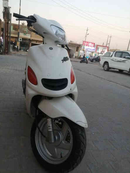 دولفين ياباني نكره سلف مفتوح بس بستم سعر ٥٥٠مكاني رميثه رقمي *********** ماتواجد عل نت
