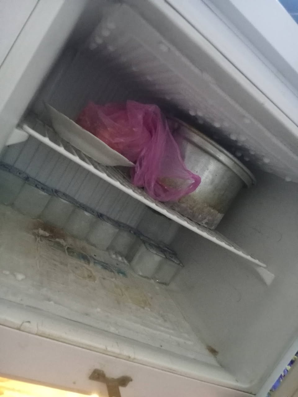 تجميد فوك  وجوا فول كلش نظيفه لين داشيل وابيعها اريدها 200 بيها مجال


**إذا كنت صاحب هذا الإعلان وتريد حذفه لأي سبب، رجاءا أرسل رسالة إلى الدعم الفني**