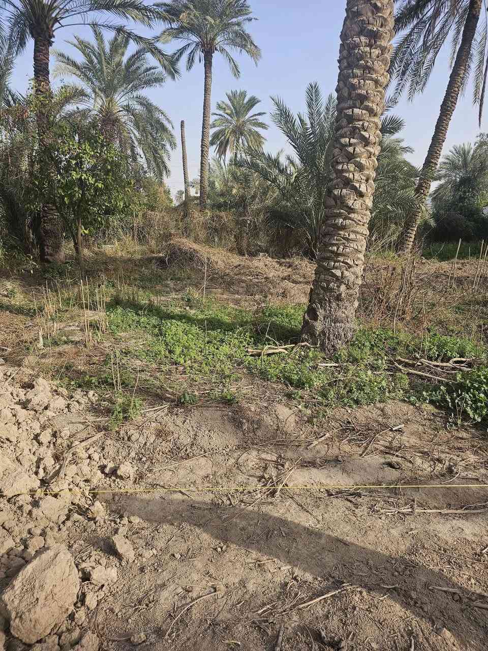 قطعة ارض للبيع 
المساحة 182 متر مربع 
الواجهة 10,25 والنزال 17,70
داخلة ضمن المناطق السكنية تقع على شارع فرعي 8 متر وتبعد عن الشارع الرئيسي 100 متر .
موقعها الفحامة قرب جامع محمد رسول الله .
للتواصل ***********
