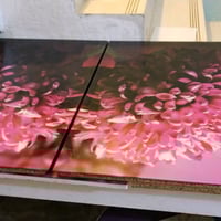 ناصريه • منطقة الثوره • طاوله