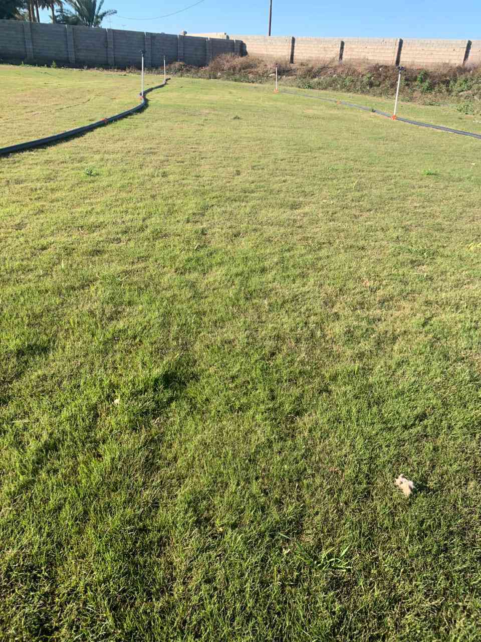 ‬‏يوجد خدمت توصيل لجميع المحافظات ويوجد كادر لتجهيز الحدائق لطلب ولستفتار التصال على الرقم أو مراسلت الصفحه ***********👈***********
