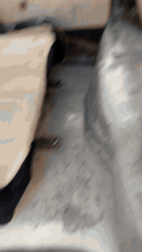 سلام وعليكم سياره كير مكينه اكسل جديد تخم تاير شواصي جدد تحويل ثاني يوم بدي انضف من الصور 
مكاني بصره ابو الخصيب تواصل ***********
