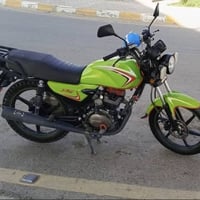 شاينك • ٢٠٢٣ • مرقمه