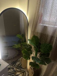 مرايه • ١٥٠×٦٠ • حي اور