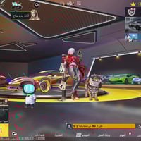 حساب ببجي • بلايستيشن5 • الرمادي