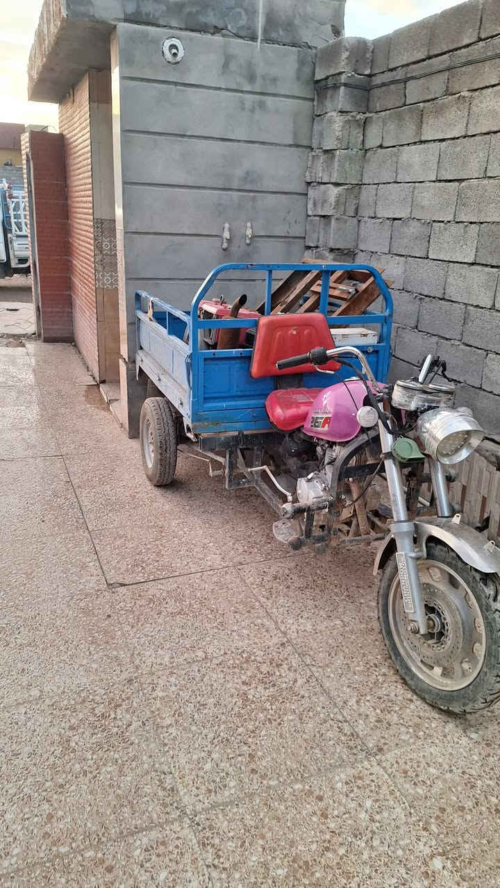 ستوتة للبيع نضيفة حيل ***********
