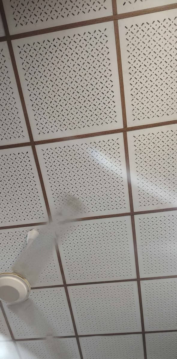 سقوف ثانوية بورك
جديد مبيه أي ضرر  الواضح. بالصور لونين كل غرفة لون النجف, العراق


**إذا كنت صاحب هذا الإعلان وتريد حذفه لأي سبب، رجاءا أرسل رسالة إلى الدعم الفني**
