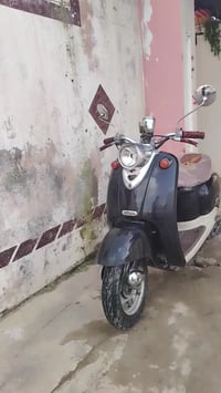 فينو • نضيف • بعشيقه