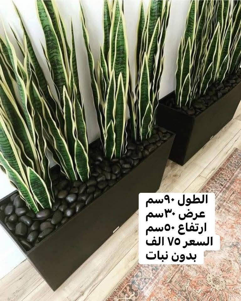 سنادين زراعة 🌿🪾
شغل PVC ثقيل درجة اولى ...
المواصفات 👇
مقاوم للماء والحرارة والظروف الخارجية
ضد الكسر  و يتحمل اوزان ثقيلة🎃

الاسعار والتفاصيل داخل الصور 🎆

فقط في الموصل كله جديد اول مرة يتوفر اشتغلك حسب طلبك واللي يعجبك 📝

#للاستفسار والطلب علق بـ#تم ✅
أو تواصل على #الواتساب ✅
***********
ويوجد خصم لاصحاب المحلات والمشاتل داخل المدينة 🥰
ايضاً يوجد خصم للذي يطلب قطعتين أو اكثر 🥰

