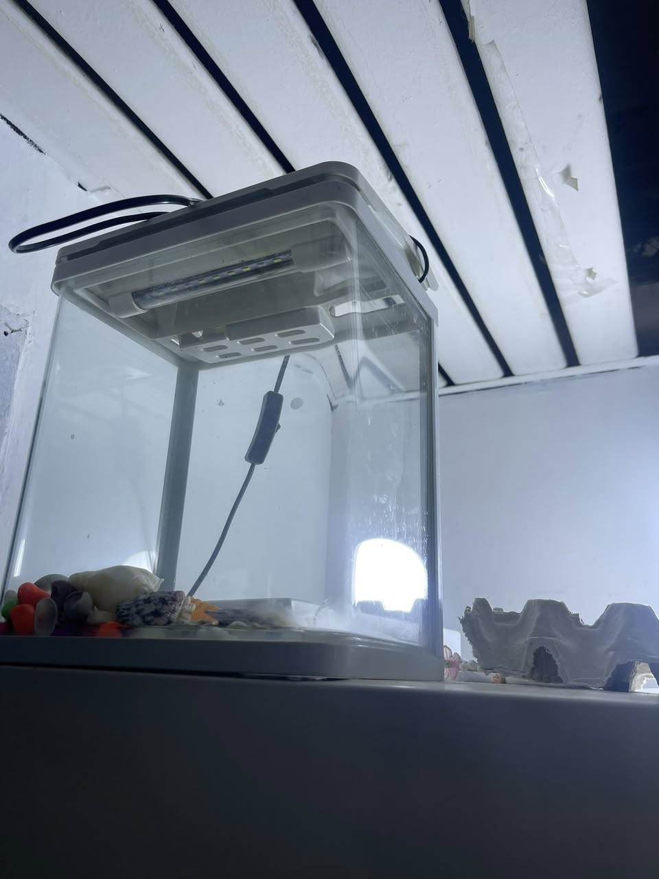 طباخ وشفاط وقفص طيور وحوض سمك صغير للبيع


**إذا كنت صاحب هذا الإعلان وتريد حذفه لأي سبب، رجاءا أرسل رسالة إلى الدعم الفني**