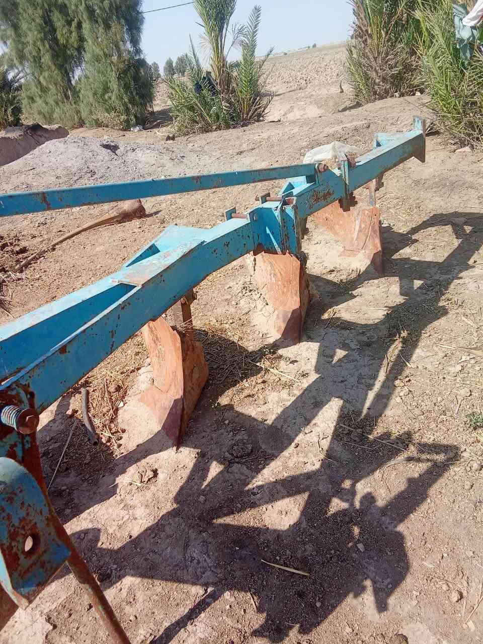 فدان رباعي تسكام لاالبيع ***********
