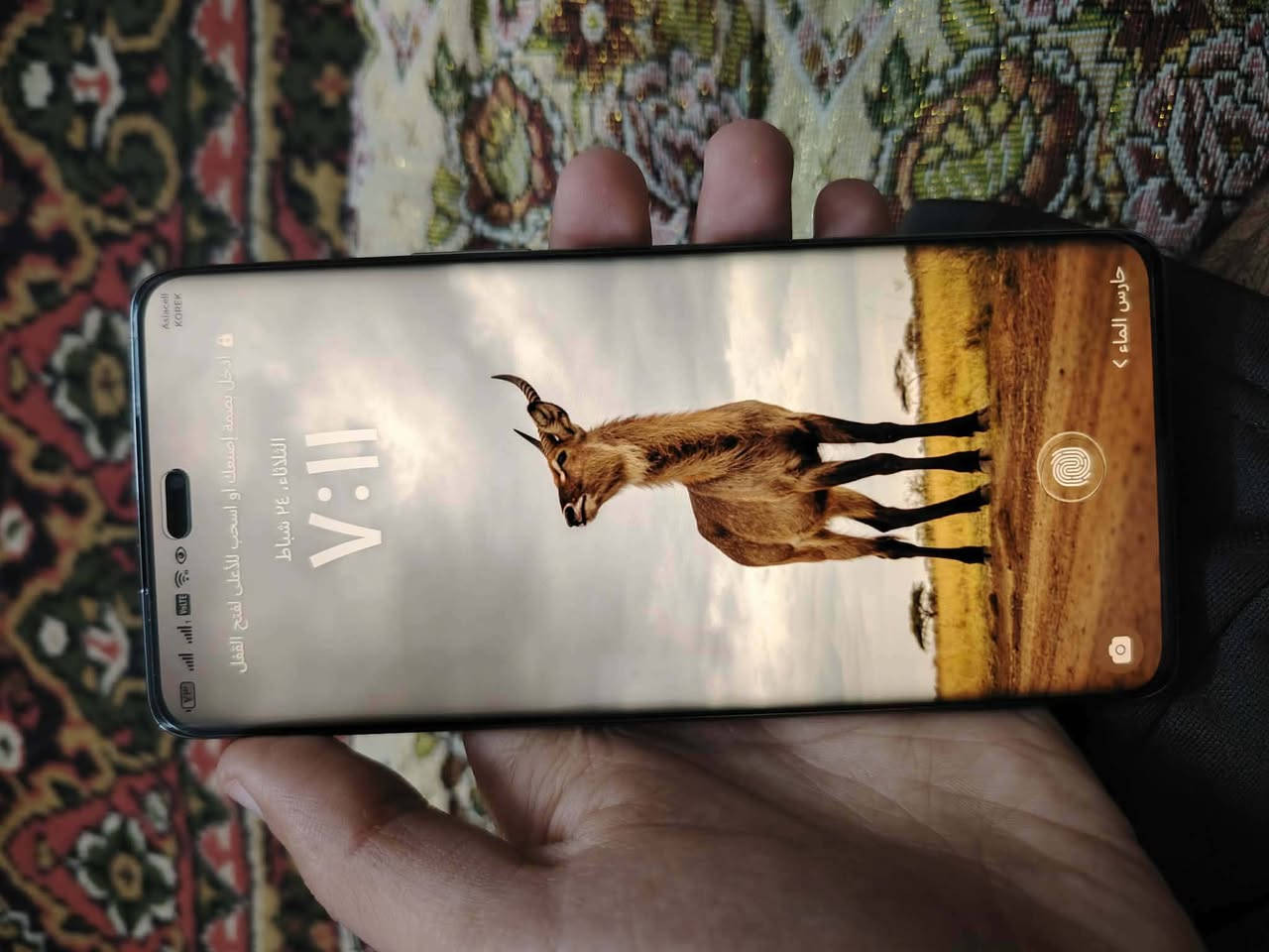 سلام عليكم احبتي هنر x9cجهاز نضيف وكدام العينه مرتب وشرط مكفول من كلشي مكان الجهاز مو حي الكرامه ذاكره 256 جهاز فول موصفات الجهاز اريده مراوس ويا ايفون الي عندها ينزل بل تعاليق#مراوس


**إذا كنت صاحب هذا الإعلان وتريد حذفه لأي سبب، رجاءا أرسل رسالة إلى الدعم الفني**