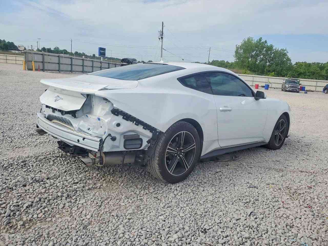 2025 FORD MUSTANG

شحن مباشر الى اربيل عن طريق مرسين تركيا 
شحن مباشر الى العراق عن طريق الحرة الاردن 
*********** :📞 
*********** :📞
السعر :  حسب المزاد  
تاريخ المزاد :  6/8
الضرر : حسب الصور المرفقة 
بيع وشراء كتب شهداء 
شراء سيارات تحت الموديل لمن لديه كتاب ضباط 
لو كتاب دبلوماسي 
بالامكان ادخالها بكتاب ذوي الشهداء باعفاء كمركي مع اعفاء الرقم 

🔺نتكفل بالسيارة لحين وصولها 
🔺اي استفسار مراجعة المكتب 
🔺 اوقات العمل كل ايام الاسبوع من الساعة ال 5 عصراً ماعد يوم السبت و الاحد عطلة المزاد
🔺 عملنا شراء السيارات من المزادات الامريكية والكندية
🔺لدينا تقرير Carfax مجاني لفحص السيارة قبل دخولها المزاد 
🔺 نشحن من جميع الموانئ الامريكية والكندية وبأسعار شحن تنافسية 
🔺نشحن الى دبي و عمان و البصرة و كردستان و تركيا  
🔺لدينا ورشة تصليح في دبي 
🔺لدينا معقب لتخليص السيارات (حرة او معوقين او ذوي الشهداء ) و ايصالها الى الزبائن
📍العنوان : موصل حي الوحدة مقابل معهد صناع الامل 
🔺اوقات الدوام من 4 عصراً وحتى ال11 ليلاً كافة ايام الاسبوع 
☎️ للاستفسار الاتصال على الرقم
م.علاء ابو فهد 
 
*********** :📞 
*********** :📞 ￼
