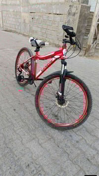 باسكل جبلي • كوفة • مجال بسيط