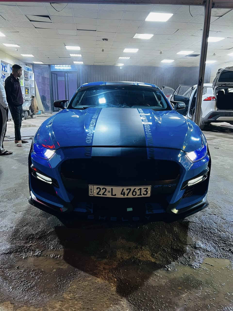 سلام عليكم
فورد موستنك اللون مميز سمائي 
مديل ٢٠١٧ 
V6
حادثه امريكه جاملغ او بنيد بدون دواخل جه السكن
حادث بالعراق دور جاملغ خلفي جنه سكن
مواصفات عاديه 
 عليه كزوز طرب  
ماشيه ١٦٥ الف
رقم اربيل + سياره بسم اخويه 
سياره مبرمجه فتح سرعه وفصلات بك فاير   
مكان سياره بابل 
السعر ١٦٠ $  بيه مجال
تواصل واتساب فقط  
***********
