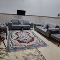 تخم للبيع مغربه السعر 400 بيه مجال قليل 07807931124 غير متواجد نت
