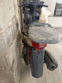 فحل ياباني للبيع استفسار واتساب ٠٧٧١٥٧٤١٤٦٦بغداد