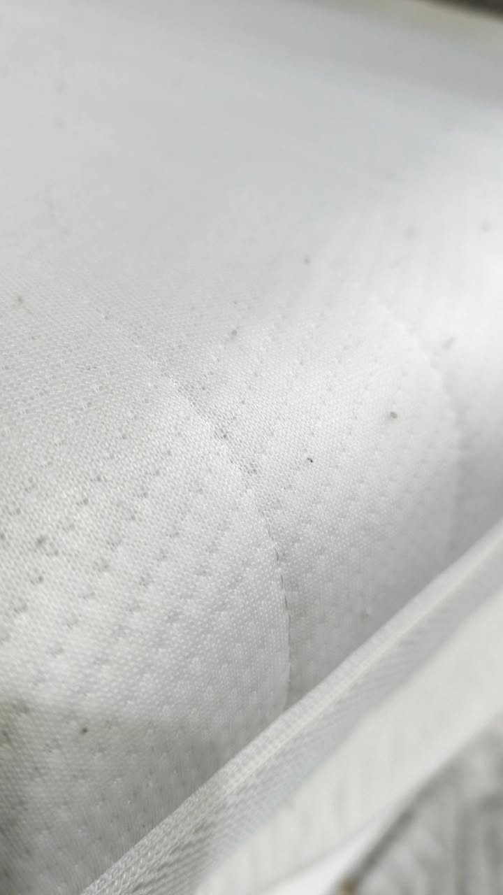 دوشك اسفنج  طبي اوربي 
استيراد خاص 
القياس 10*160*200
السعر 75
***********
