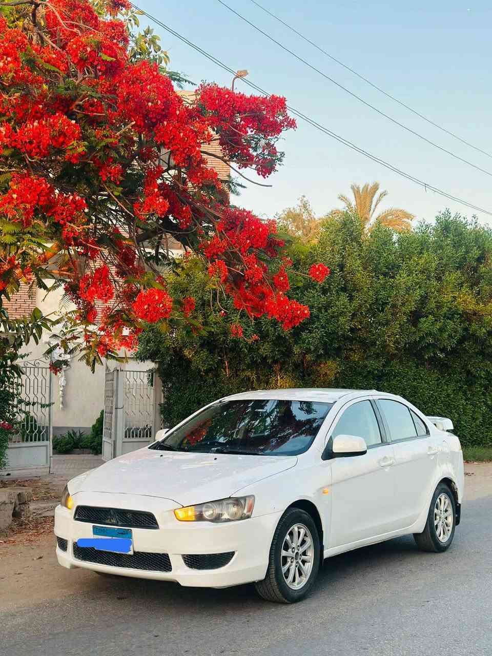 لانسر شارك خليجى
مالك أول الفئة الثانيه

فابريكا دواخل بالكامل 

السقف ورنيش 

المعاينة طنطا 

للتواصل 

01004119296

01022161070


**إذا كنت صاحب هذا الإعلان وتريد حذفه لأي سبب، رجاءا أرسل رسالة إلى الدعم الفني**