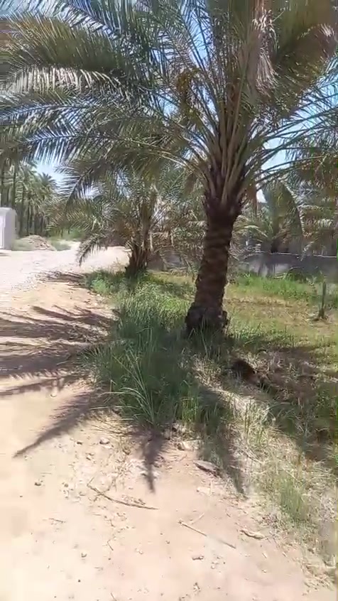 دونمين للبيع عنوان الصويرة للاستفسار الاتصال على الرقم ***********

