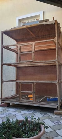 قفص • الفلوجه • ١٫٦م