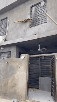 دار زراعي • طويريج شارع ٤٠ • ١٠٠م