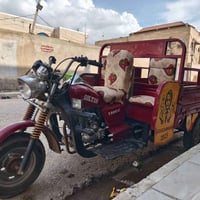 ستوته • موديل ٢٠١٣ • اوراق وكيل