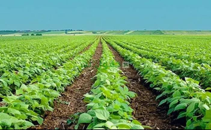 عندي  373 دونم بديالى مندلي
سعر مناسب جدا 
طابو صرف
الاتصال ***********
