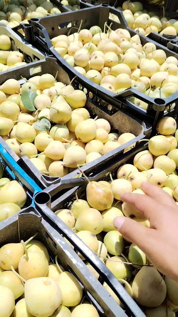 عرمط ب ألف دينار حوش هسه🍐🍐🍐🍐🍐
مشمش درجة أولى ب ألف ونص 🍑🍑🍑🍑🍑


**إذا كنت صاحب هذا الإعلان وتريد حذفه لأي سبب، رجاءا أرسل رسالة إلى الدعم الفني**