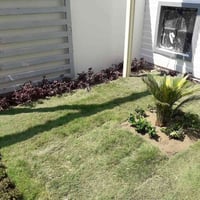 هندسة حدائق • منظومات تقطير • فسائل نخيل