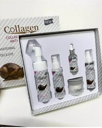 كولاجين • حلزون • ٥قطع