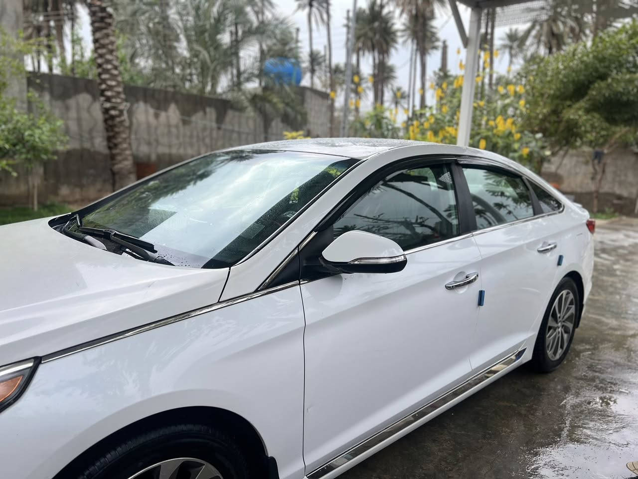 سوناتا 2015. سياره. خير من الله كير محرك مكفول سنويا 28 وارد أمريكي  ضررها جاملغ وبنيذ بس صبغ  مكان سياره ديالى بلدروز سعر 120  وبيها مجال رقمها نكليزي  مابيها كل نقص ربع  مذب عليها


**إذا كنت صاحب هذا الإعلان وتريد حذفه لأي سبب، رجاءا أرسل رسالة إلى الدعم الفني**