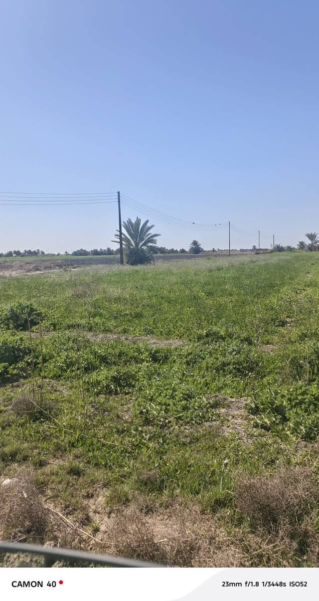 🔥 سلام عليكم عرض مميز وفرصة استثمار حقيقية 🔥
للبيع 17 دونم بقرب السكن، تباع تقطيع حسب الطلب ✨
📍 قريبة من السكن والمدارس
💧⚡ مخدومة بالكامل (ماء + كهرباء)
🏡 تصلح دار استراحة أو بيت سكن أو مشروع استثماري
📐 موقع مرتب وقابل للتقسيم حسب رغبتك
جنس العقار طابو  سند 25
وجهه الدونم الواحد 41ونص ونزال 60 ❇️✅سعر الدونم 42مليون 
📍 العنوان: بغداد – التاجي – الشيخ عامر – ذراع دجلة
📞 للاتصال: ✅***********/✅/***********✅
📲 متوفر واتساب
#بغداد
#التاجي
#ذراع_دجلة
#الشيخ_عامر
#اراضي_للبيع
#دوانم
#استثمار
#عقار_بغداد
#بيع_اراضي
#فرص_ذهبية
