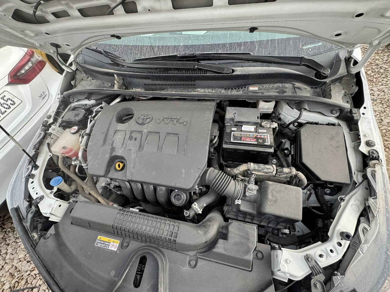 (تويوتا كورولا خليجي شركه ساز ام الضمان)
2023 فول GLI السعر 182$ 
*تحديد سرعه.
*  ٢ بصمه شركه .
* مري شفط وكهرباء اشاير بل مري.
 * داخل بيجي.
* شاشه ايباد شركه فول تحكم.
 * تحكمات بل ستيرن.
 * 3 مودات قياده رياضي ويكو وعادي.
 *حساسات شركه.
*كامره وشاشه شركه. 
 * جناح على صندوق (سبايدر).
 * سلايد روف.
مكفوله كفاله عامه صبغ وتبديل والبارد والفتح ضمان الوكاله او التحويل المجاني للمشتري للاستفسار اتصال على الرقم ***********
