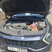 سبورتج هايبرد • ٢٠٢٣ • ضرر خلفي