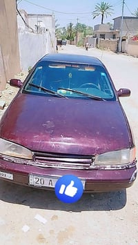 شرايه سنويه • سيفا • مراوس