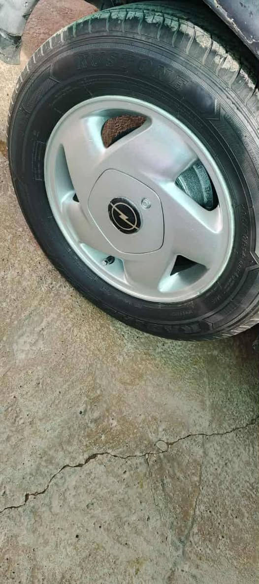 تخم ويل كب حجم 14 فكترا للبيع
***********.
