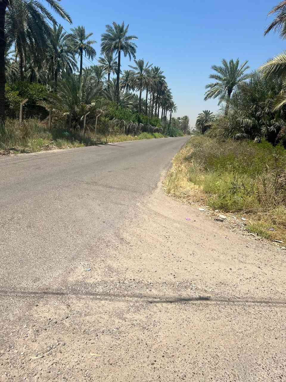 السلام عليكم  دونم طابو ملك صرف لوجه
52ونزال 49 العنوان بغداد المدائن شارع سيد علي 

تحويل بسم المشتري ب طابو المدائن خدمات ماء كهرباء 

شارع 8م موقع مميز يرهم مزارع او الاستثمار الاستفسار خاص او تصال واتساب ***********

