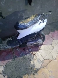 بيجي • شرط • مكاتبه