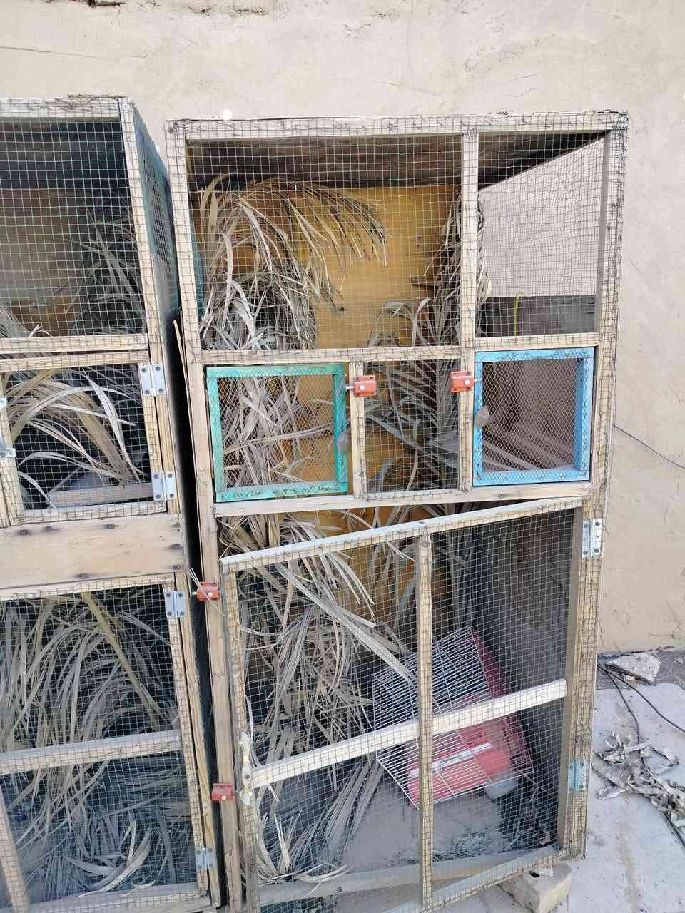 اقفاص العدد 2 قفل 50 الف مكاني بغداد الشعب ***********
