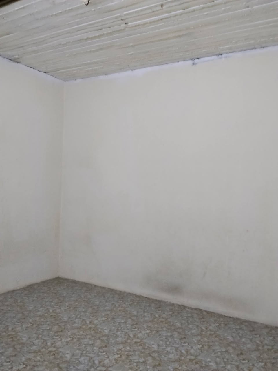 بيت للايجار العنوان  بيسان قرب الثروة الحيوانية (قريب على الشارع العام ) بناء حديث يحتوي على 4 غرف واستقبال ومطبخ 
للاستفسار الاتصال على الرقم ***********  او مراسلة الرقم على الواتساب
