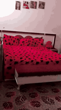 العنوان الدوانية الجلبية يم مدرسه الخلاني السعر 400وبيه مجال ***********
