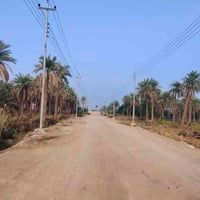 طريق السوق ناصرية • سند ٢٥ • ٣٠٠م،٢٥٠م