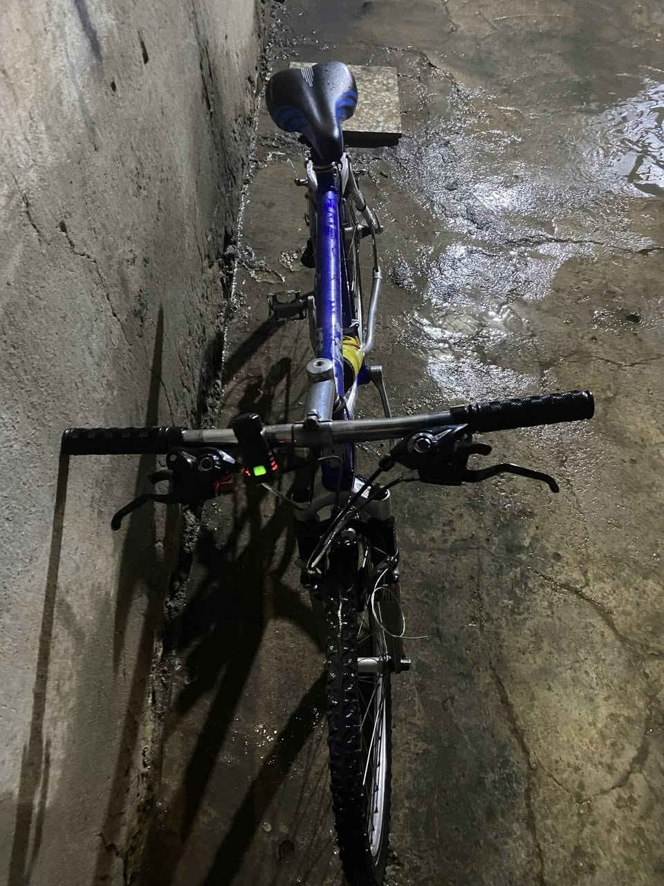 السلام عليكم  بايسكل ياباني ٢٦ رياضي للبيع نضيف كلش مكفول كير امامي خلفي شغال كامل عكرب اصلي رياضي شغالة مية بالمية بريكات كاملة دبل امامي والجزء الخلفي دبل متحرك كامل رايدة ب٨٥بي مجال للشراي


**إذا كنت صاحب هذا الإعلان وتريد حذفه لأي سبب، رجاءا أرسل رسالة إلى الدعم الفني**