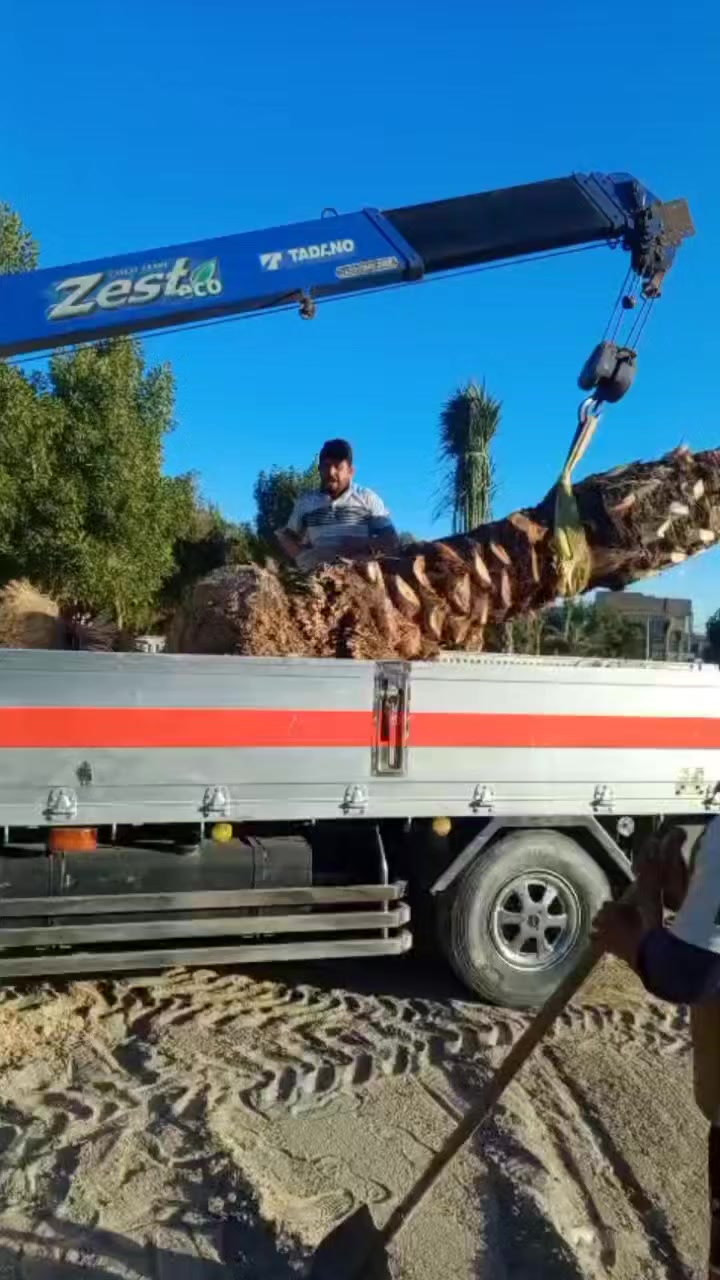 فلأح الفتلاوي لتواصل +***********
