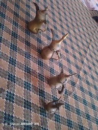 ديكور منزلي • تصميم داخلي • خدمات ديكور