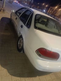 برنس • للبيع • مراوس