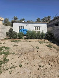 بستان برتقال ونخيل • ٢٫٥ دونم • دلي عباس