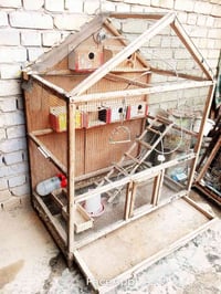 قفص • كلش جبير • سبع البور