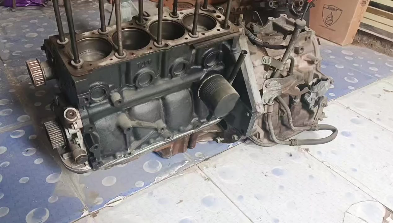 ‏‪***********‬‏
